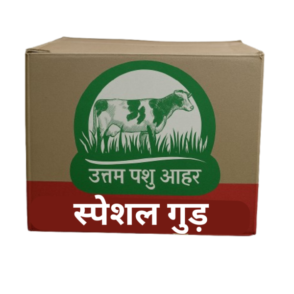 Gur - 10kg