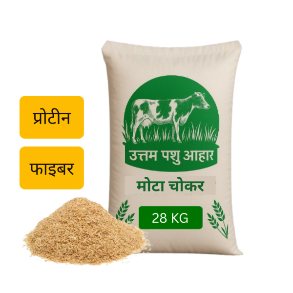Mota Chokker - 28kg